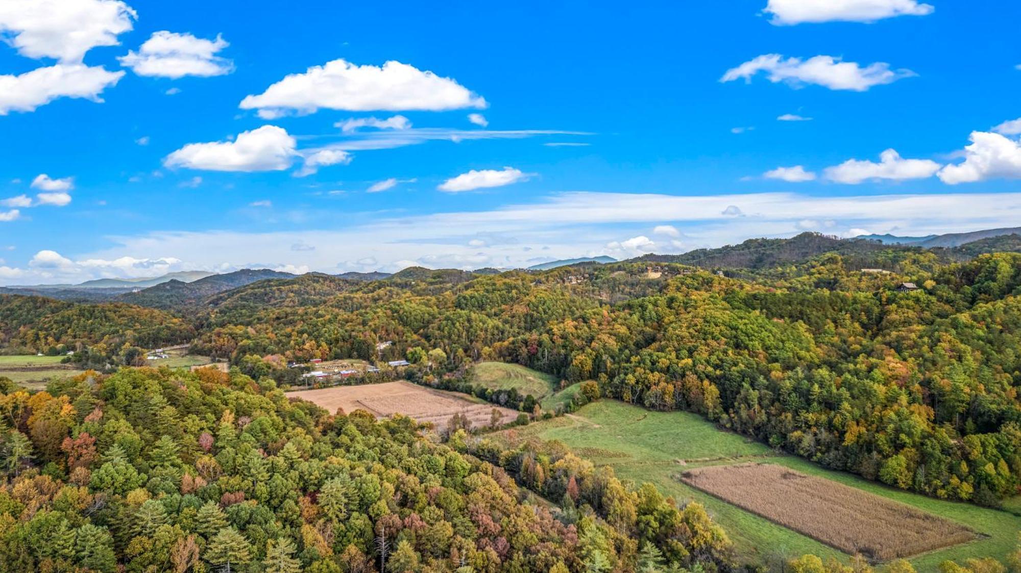 Relaxation Retreat - Pickleball Cabin - Wi-Fi, Fire Pit With Bar, Ev, Game Room, Hot Tub, Pool Access - Mins To Pf 세비어빌 외부 사진